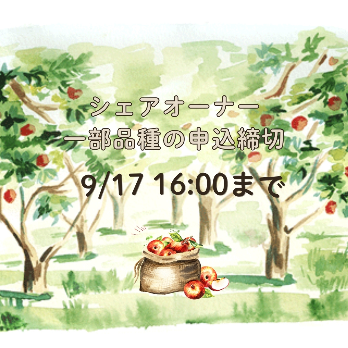 シェアオーナー9/17まで