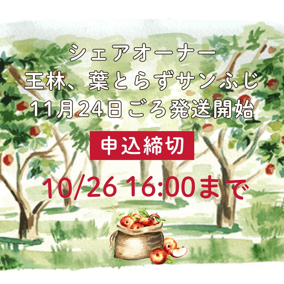 シェアオーナー10/26まで