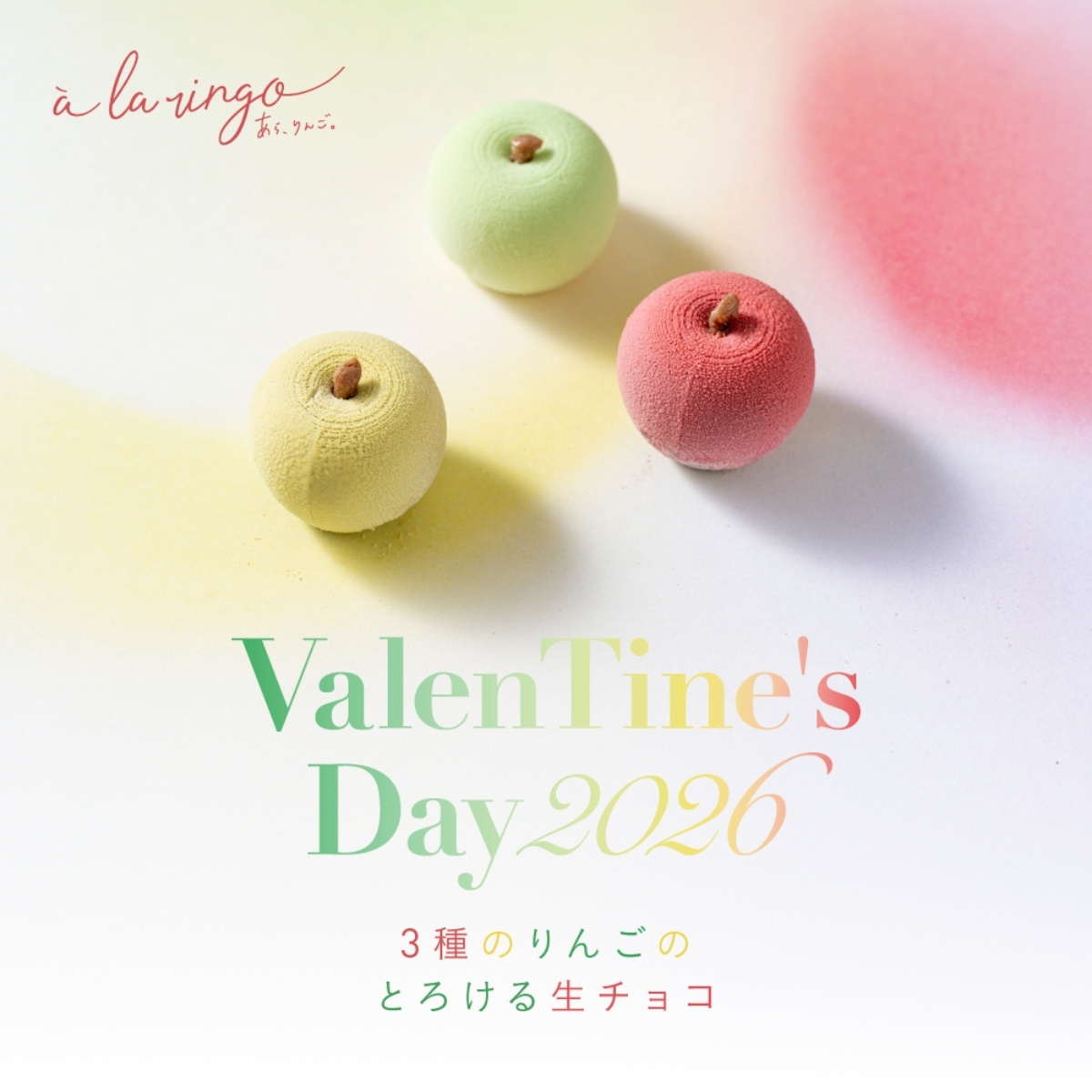 バレンタイン限定りんご生チョコ3種セット