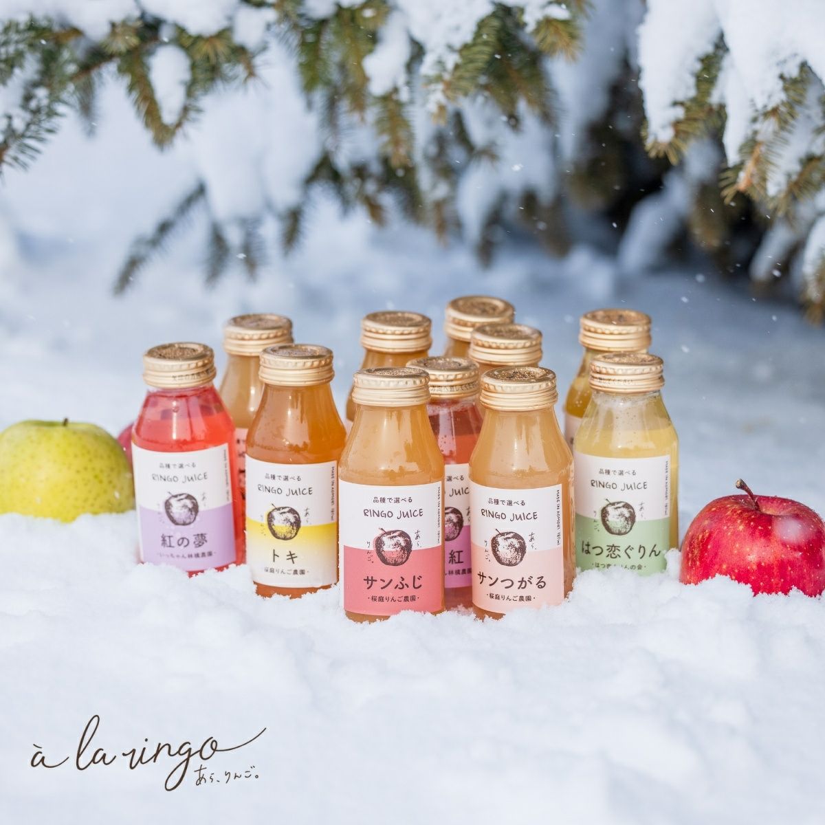 青森りんごの品種別ジュース【180mL×6本】 | あら、りんご。オンライン