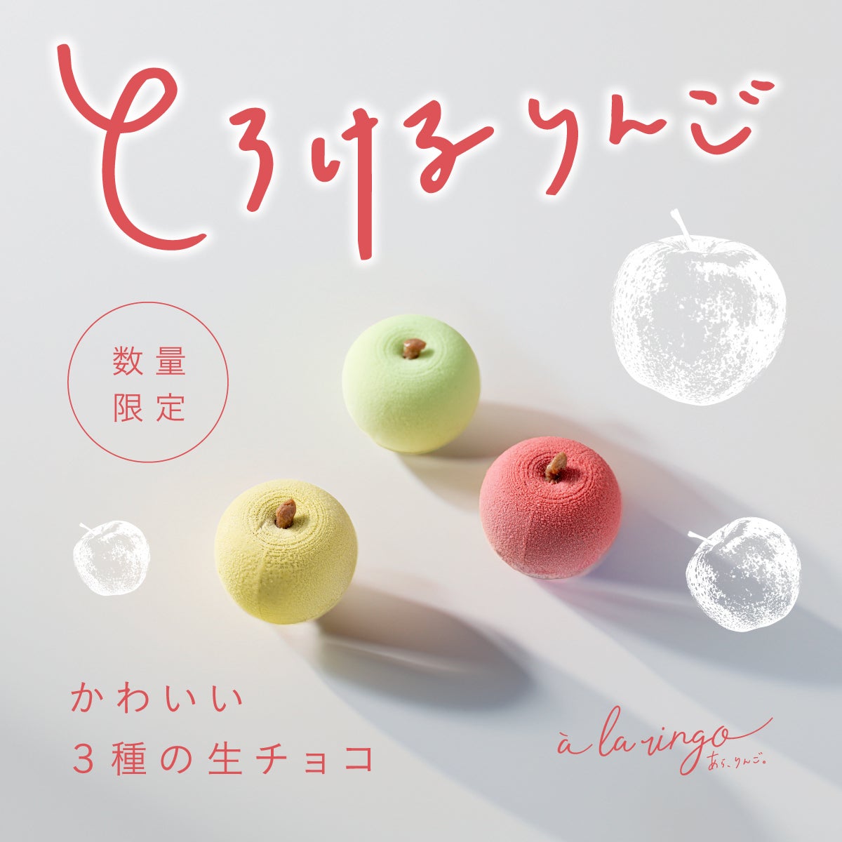 期間限定りんご生チョコ3種セット｜青森りんごの専門店